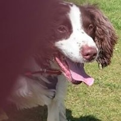 Lisa Marie Nixon-Herron