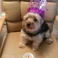 Al Green how can you men a broken heart