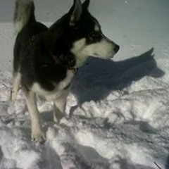 Lauren Elizabeth Beaumont