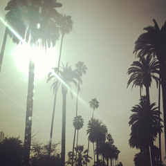 Hazy Sunday