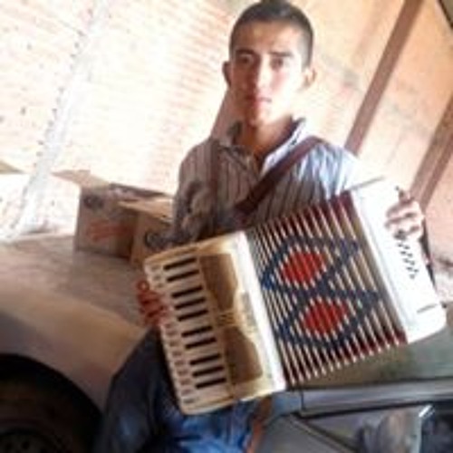 Luis Fernando Arjon’s avatar