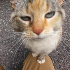 OldManofWanderingMountain