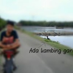 Annisa Aulia Salsabila