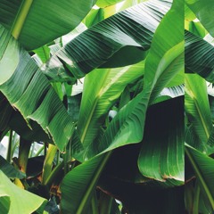 rcarrasco