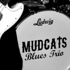 Mudcats Blues Trio