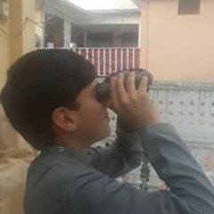 fjv