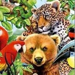 Ronald Eduardo Mayorga