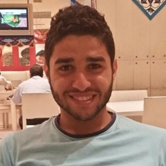 Amr Nasser Gonza
