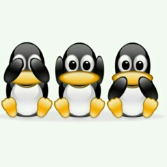 user591053988