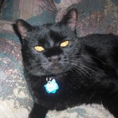 Marcy Powers-Burnham