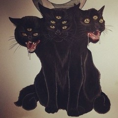 rawrrr