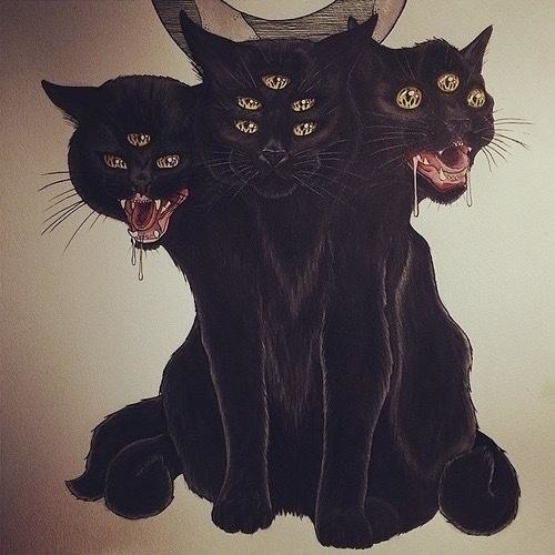 rawrrr