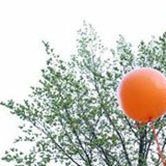 M  i  A - Gemma Meulendijks