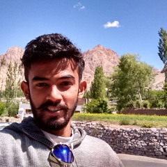 Syed Rameez Michael