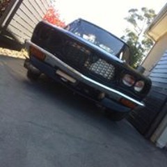 Phoenix Giandomenico