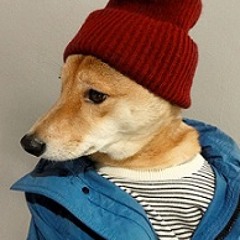 Nicolás Sarmiento Montes