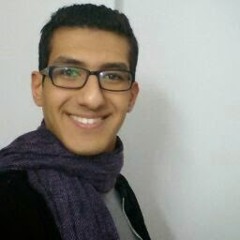 amr mo'nes