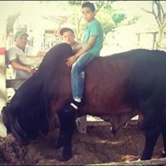 Juandiego1015