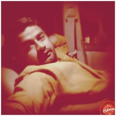 sindhi