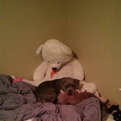 Edward Hickombottom Jr.