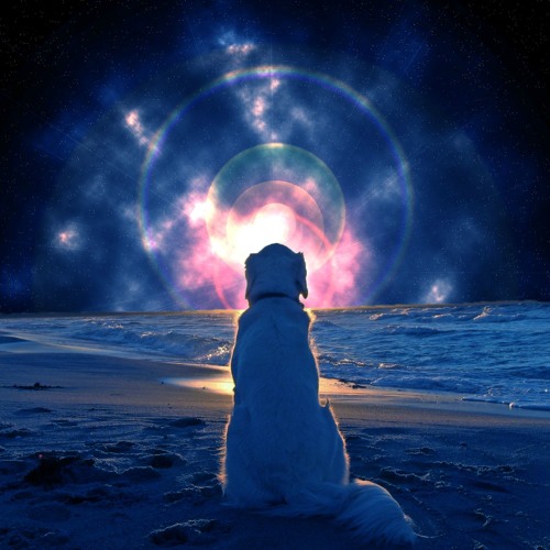 Beethoven BounceandBass Techno Bootleg Remix NixMix2