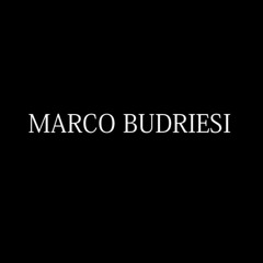 Marco Budriesi