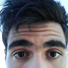 Neruda,los Versos Del Capitán,el Tigre