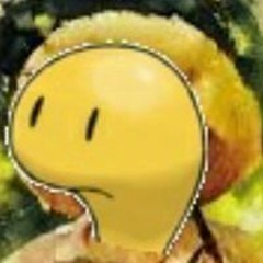 Shuckleberry Finn