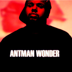 AntMan Wonder Private