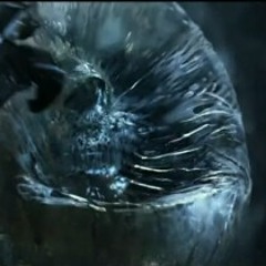 the Photo-Electric Effect