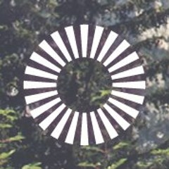 Klangfarbe Schallplatten