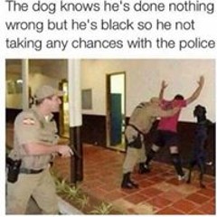 Curry Junior Faustin