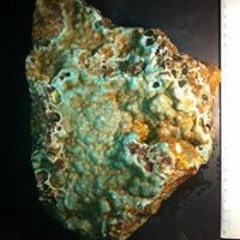 Cesarcoatl Piedra