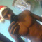 Carlos HDosS