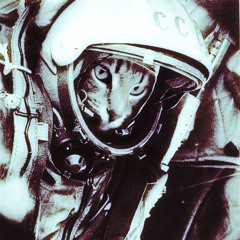 Gli ultimi cosmonauti