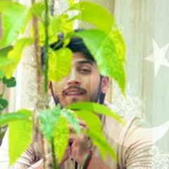 Sameed Mansoor