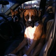 Denise Simpson Lippold