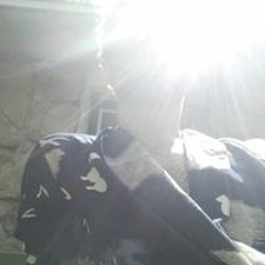 Patrice Slyvain Clavel