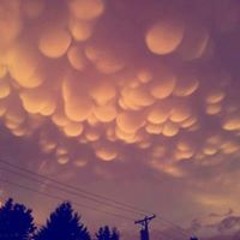 Oziel Eduardo Leyva Lopez