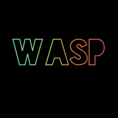 DJ wasp