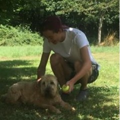 CharlesLuke and the Dukes