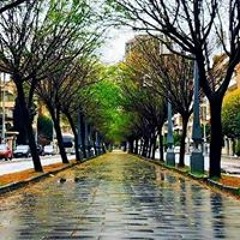 Anas Alkourdy