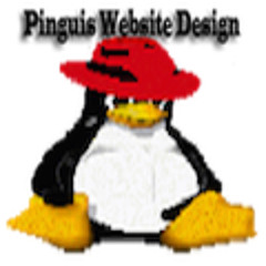Pinguis Website Design