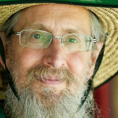 Martin Holsinger