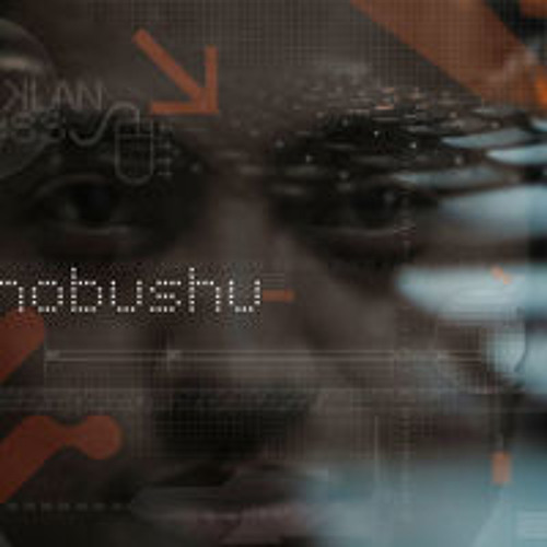 innobushu’s avatar
