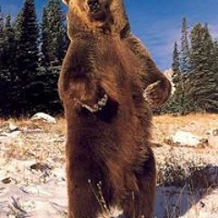 Yann Olivier Tavernier