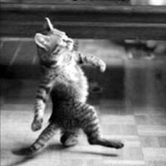 Zlatan Izzat Bikovic