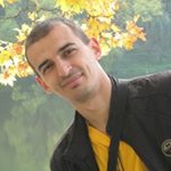 Constantin Budici