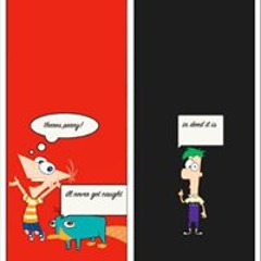 Kenneth Polo Down III