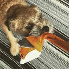 Peter Alois Baggenstos